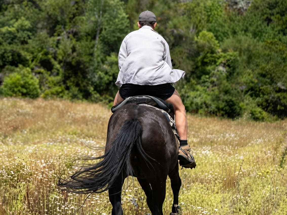 Cabalgata Wesley